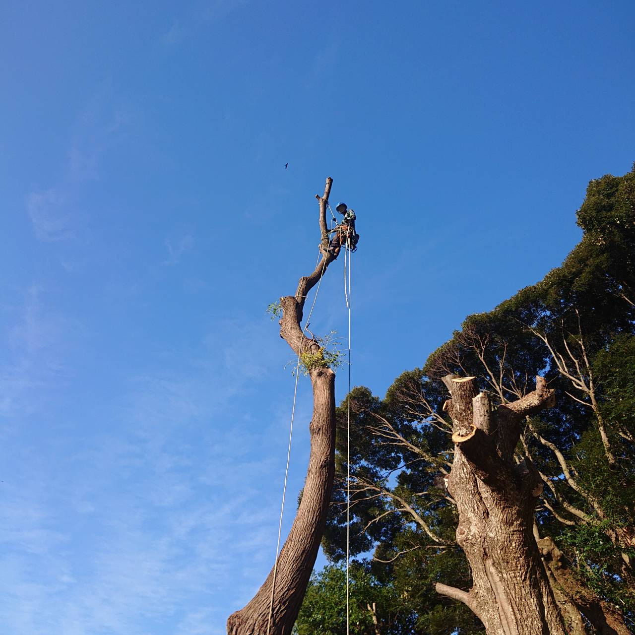 空師