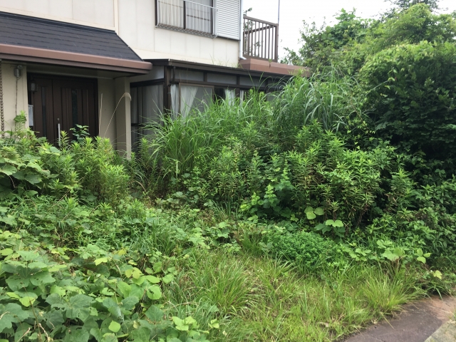 空き地・空き家の伐採