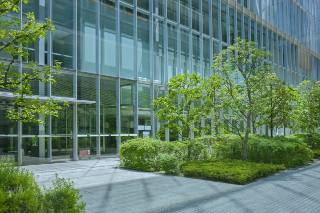 工場・会社の伐採