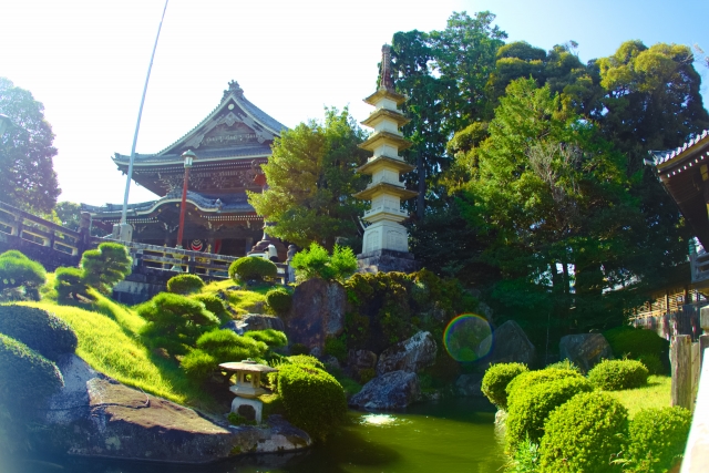 神社・お寺の伐採