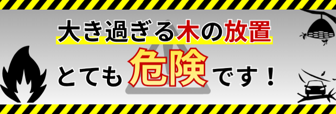 大きすぎる木の放置は大変危険です。